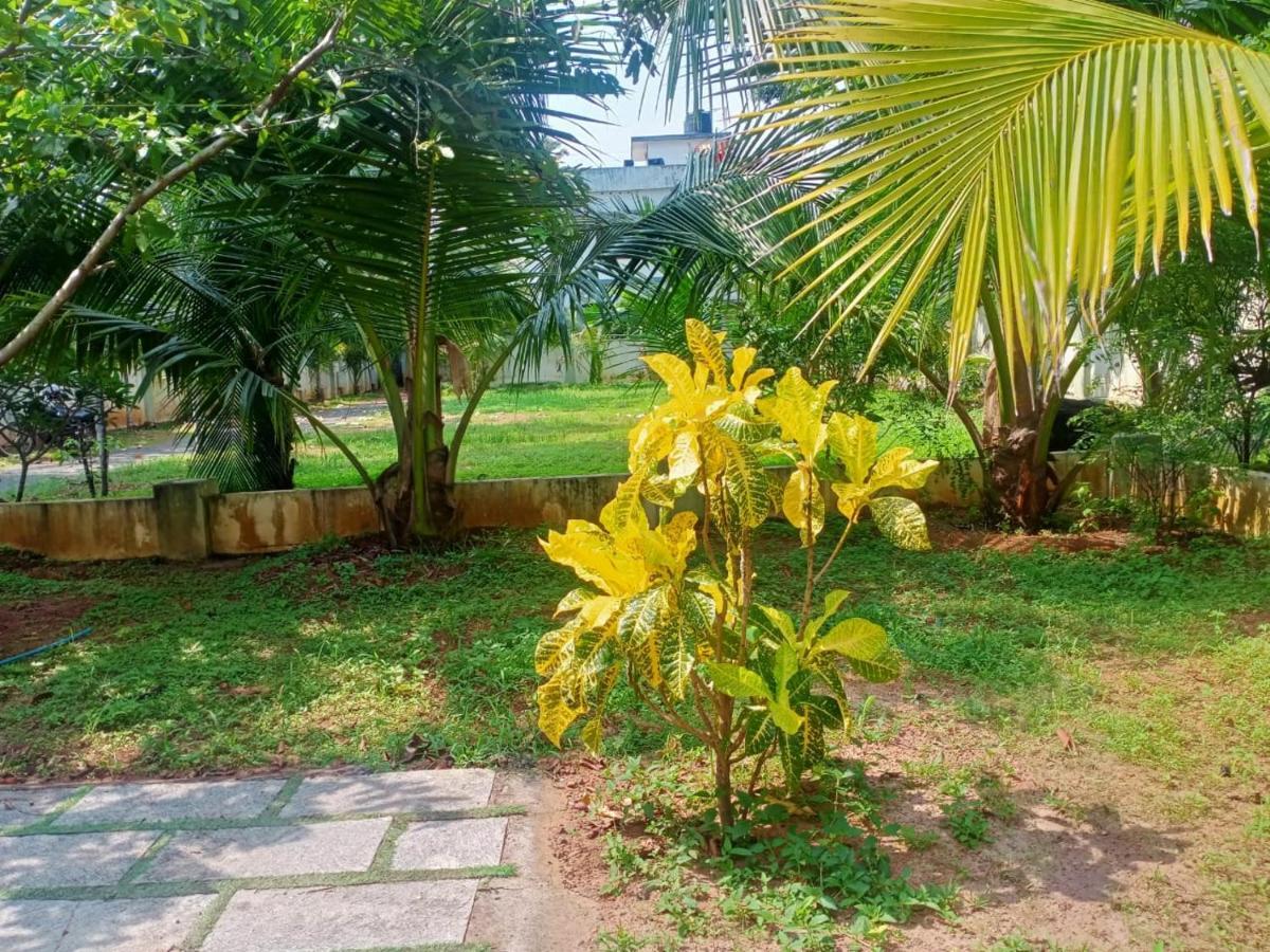 Sinai Homestay Alappuzha Экстерьер фото